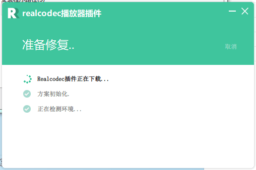 realcodec解码器 正式版