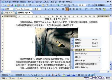 WPS Office 抢鲜版 新版